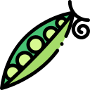 Fruits and vegetables conversation